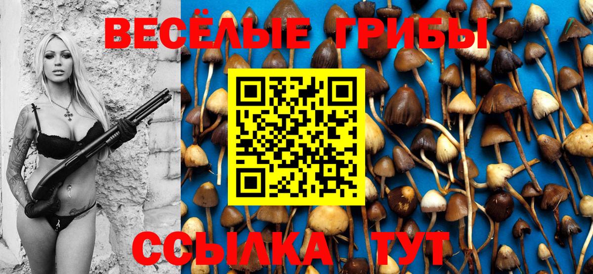 Псилоцибиновые грибы прущие грибы Майский