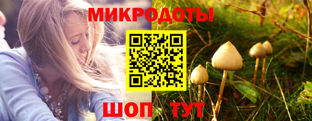 сколько стоит  Псилоцибиновые грибы Psilocybe  Псилоцибиновые грибы Psilocybe  Вход с VPN  Майский 